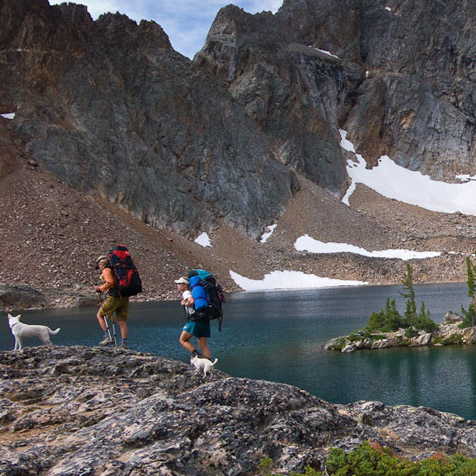 Two people backpacking in the mountains with dogs