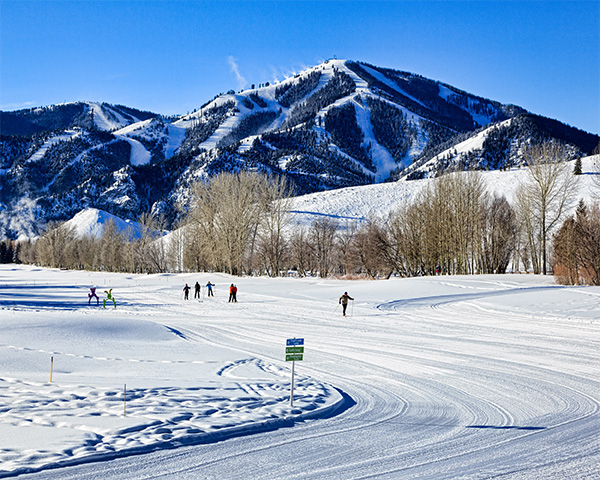 Snow covered mountains showing ski trails